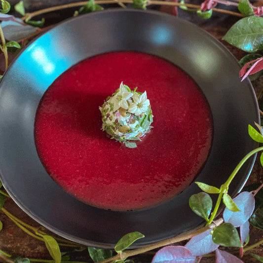 Prickly Pear Coulis with Bella Capra Chévre and Herbs